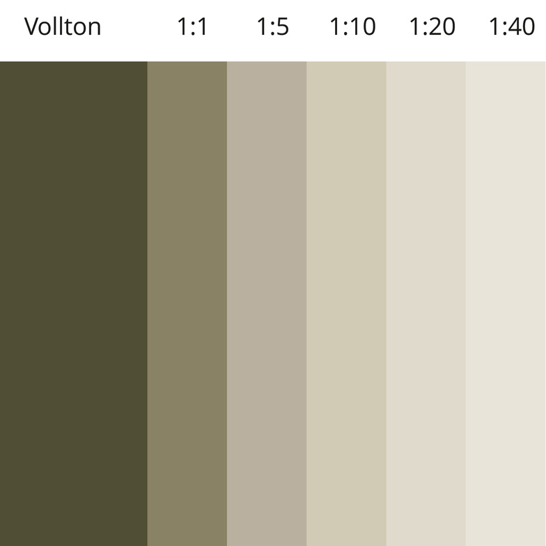 Vollton- und Abtönfarbe 500 ml