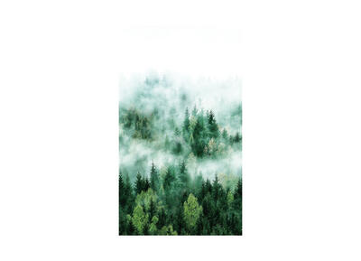 Smart Art Basic Digitaldruck - Waldmystik 1